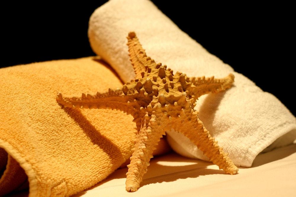 Ibersol Torremolinos Beach מראה חיצוני תמונה